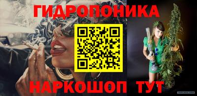 apvp Лесосибирск