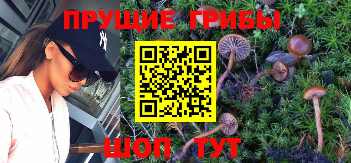 Псилоцибиновые грибы мухоморы Фролово